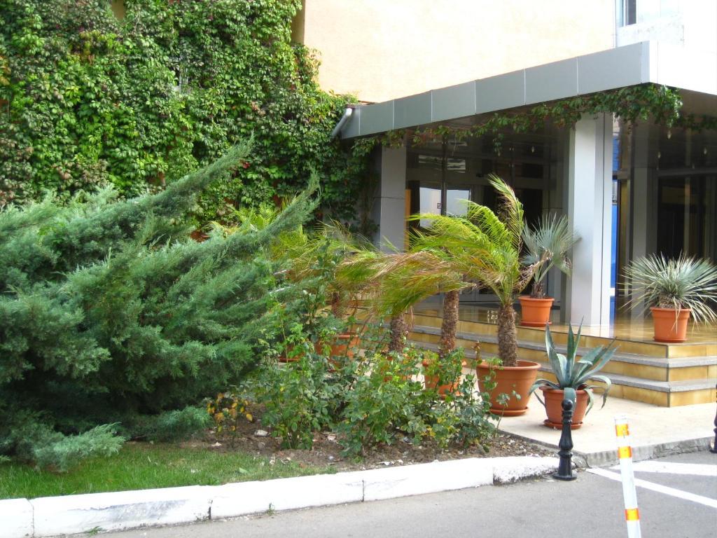 Hotel Palas مامايا المظهر الخارجي الصورة
